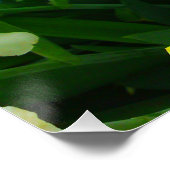 イエローアイリスフラワーミックスパーフェクトポスター ポスター (コーナー)