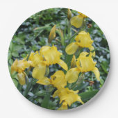 イエローアイリスフローラ園 ペーパープレート (正面)