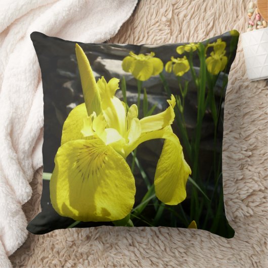 イエローアイリスブライト春フローラ クッション (ブランケット)