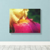 イエローアイリス花アート キャンバスプリント (インサイチュ (ウッドフロア))