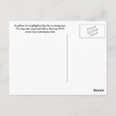 イエローアイリス ポストカード (裏面)