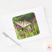 イエローアゲハチョウバタフライステッカー スクエアシール (封筒)