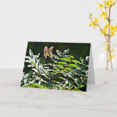 イエローアゲハチョウ聖なる書物、 経典カードジェームス1:17 カード (黄色い花)