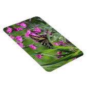 イエローアゲハチョウ蝶とピンクディアンサス マグネット (右側)