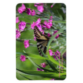 イエローアゲハチョウ蝶とピンクディアンサス マグネット (縦)