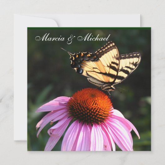 イエローアゲハチョウ蝶の招待 招待状 (正面)