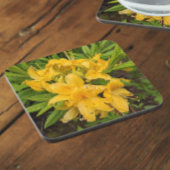 イエローアザレア開花フローラ飲料用コースター コースター