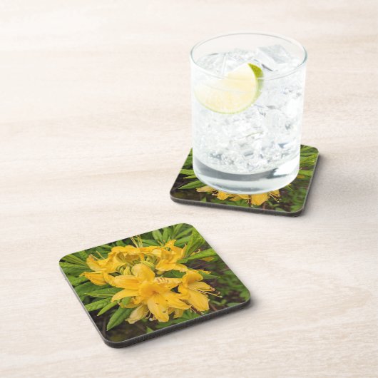 イエローアザレア開花フローラ飲料用コースター コースター (右側)