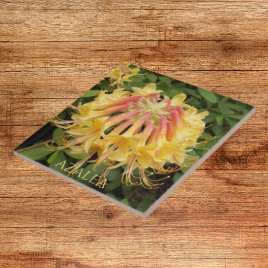 イエローアザレア開花フローラ タイル