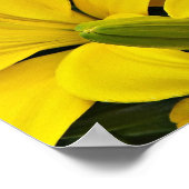 イエローアジアティックユリの花の写真 ポスター (角)