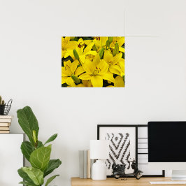 イエローアジアティックユリの花の写真 ポスター