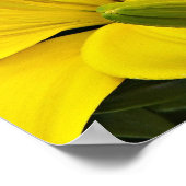 イエローアジアユリフローラ写真 ポスター (角)