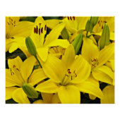 イエローアジアユリフローラ ポスター (正面)