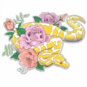 イエローアルビノボールパイソン シール (正面)