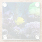 イエローアンジェフィッシュ ガラスコースター (裏面)