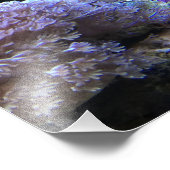 イエローアンジェフィッシュ フォトプリント            (角)