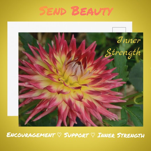 イエローアンドレッドダリアフラワーボタニカルフローラ ポストカード