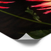 イエローアンドレッドダリアプリント ポスター (角)