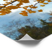 イエローイチョウの葉写真写真 ポスター (角)