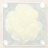 イエローイングリッシュバラフォトスクエアガラスコースター ガラスコースター (裏面)