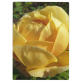 イエローイングリッシュバラ クリップボード (裏面)