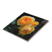 イエローイングリッシュバラ タイル (側面)