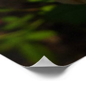 イエローイングリッシュバラ ポスター (角)