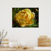 イエローイングリッシュバラ ポスター (キッチン)