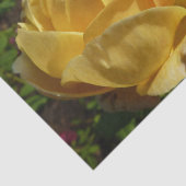 イエローイングリッシュバラ 薄葉紙 (詳細)