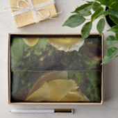 イエローイングリッシュバラ 薄葉紙 (ギフト)