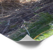 イエローウィステリアブッシュ ポスター (角)