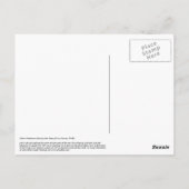 イエローウォッチマンゴビーフィッシュ ポストカード (裏面)