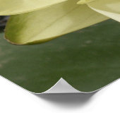 イエローウォーターリリーのポスター ポスター (角)