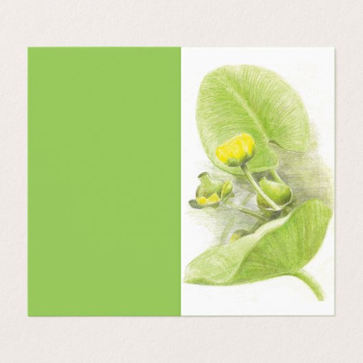 イエローウォーターリリー鉛筆のスケッチ 名刺 (外部フラット)