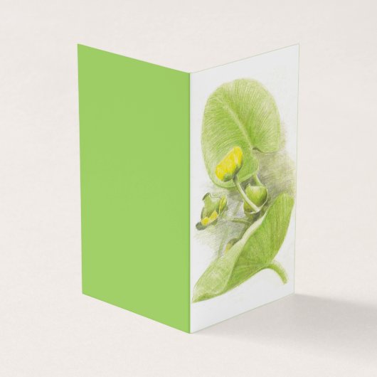 イエローウォーターリリー鉛筆のスケッチ 名刺 (外部)