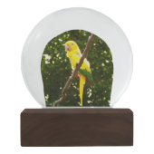 イエローオウム スノーグローブ (裏面)