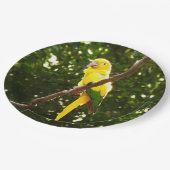 イエローオウム ペーパープレート (アングル)