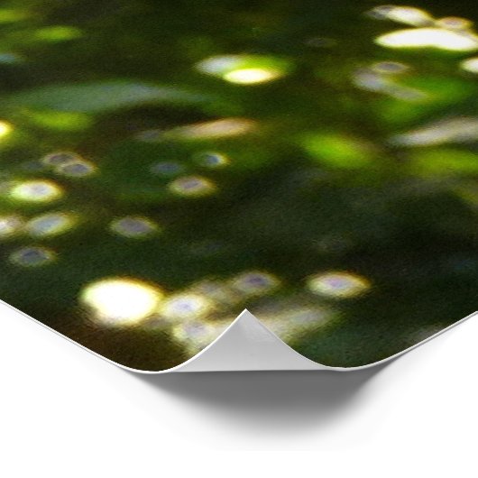 イエローオウム ポスター (角)