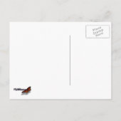 イエローオウム ポストカード (裏面)