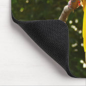 イエローオウム マウスパッド (コーナー)