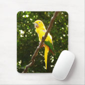 イエローオウム マウスパッド (マウス)