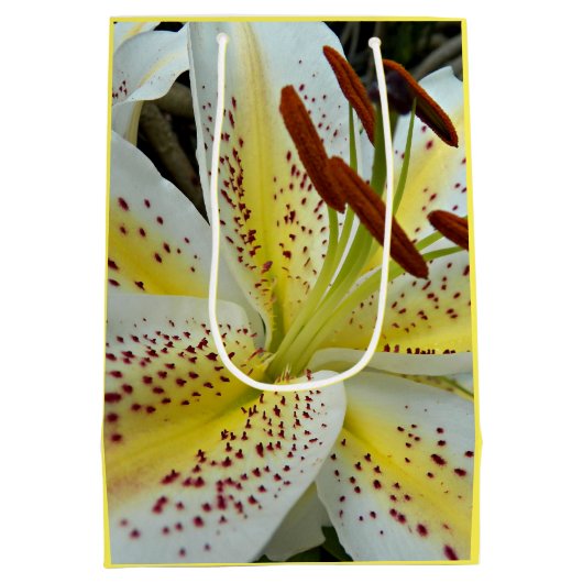 イエローオリエンタルリリースターバストフローラ ミディアムペーパーバッグ (裏面)