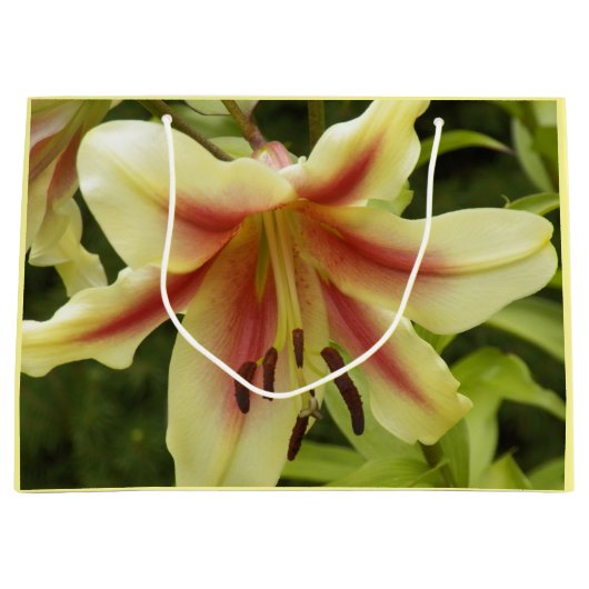 イエローオリエンペットリリーと赤スターバストフローラ ラージペーパーバッグ (正面)