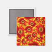 イエローオレンジゲルベラデイジー マグネット (正面/裏面)