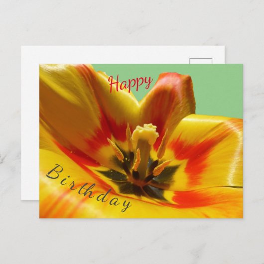 イエローオレンジチューリップハッピーバースデーはがき ポストカード (正面/裏面)