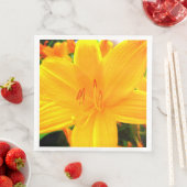 イエローオレンジデイリリーサニーガーデンフラワー (インサイチュ)