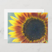 イエローオレンジヒマワリDIYはがき ポストカード (正面/裏面)