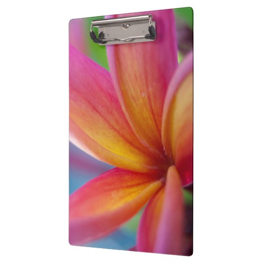 イエローオレンジ深いピンクトロピカルプルメリアフラワー クリップボード (左)