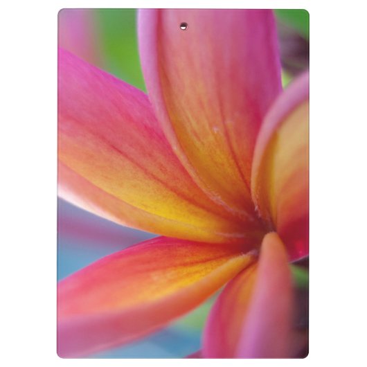 イエローオレンジ深いピンクトロピカルプルメリアフラワー クリップボード (裏面)