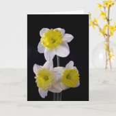 イエローオンホワイトダッフォディル母の日 カード (黄色い花)